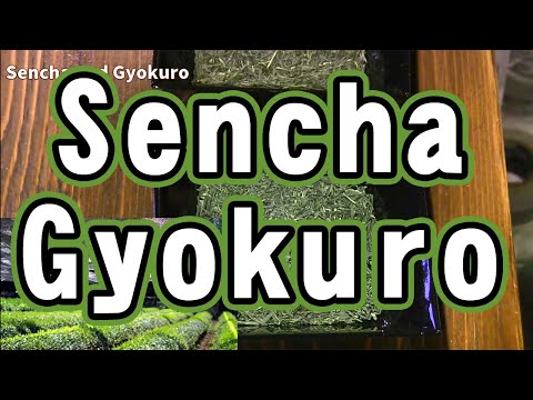 【Green Tea】The difference of Sencha and Gyokuro