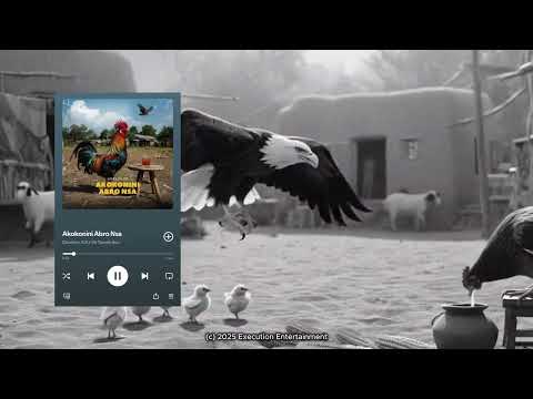 Akokonini Abro Nsa (Feat. S.K.Y De Tamale Boy) [Visualizer]