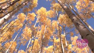 Volkoder - Sensation (Original Mix)