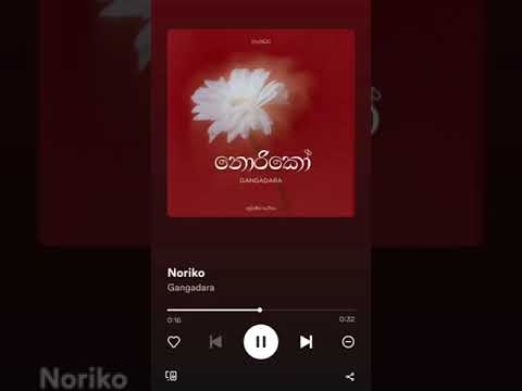(Noriko) gangadara 🤍🎵
