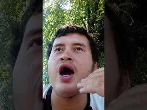 Cómo voy a extrañar tanto mucho el áreas pedagógicas vista linda las barreras 18 de mayo en el dorad