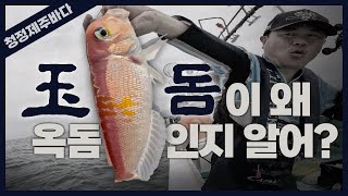 [강&장 여행사 6화] 옥돔이 옥(玉)돔이라 불리는 이유.. 직접 잡아서 팩트체크 해봤습니다~! [4K]
