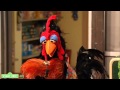 Sesame Street The Most Important Meal Song