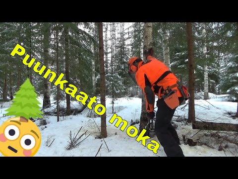 Epäonnistunut puunkaato!!!