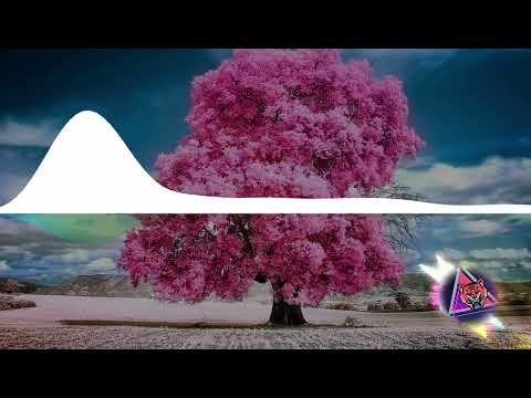 PREMIERE: Jon.K & Pasha Voodoo - Takidon (Original Mix)