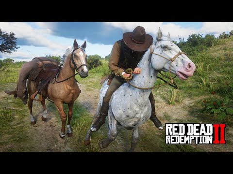 Domei um CAVALO APPALOOSA e roubei uma CARRUAGEM - Red Dead Redemption 2