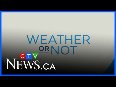 What's the difference between a hurricane and typhoon? | Weather or Not Trivia