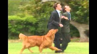 Built to Spill -  Fling