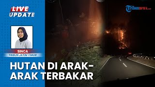 Kebakaran Hutan Jati 1 Hektar di Arak-arak Bondowoso, Pemadaman Gunakan Alat Manual Gepyok