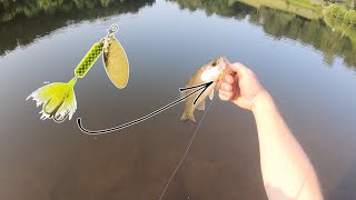 Pond Fishing for Bass with a ROOSTER TAIL