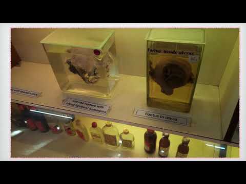 Kasturba Medical College, KMC, Private COLLEGE, low fee,cucet,,Counselling ,Mangalore,Doctors MBBS