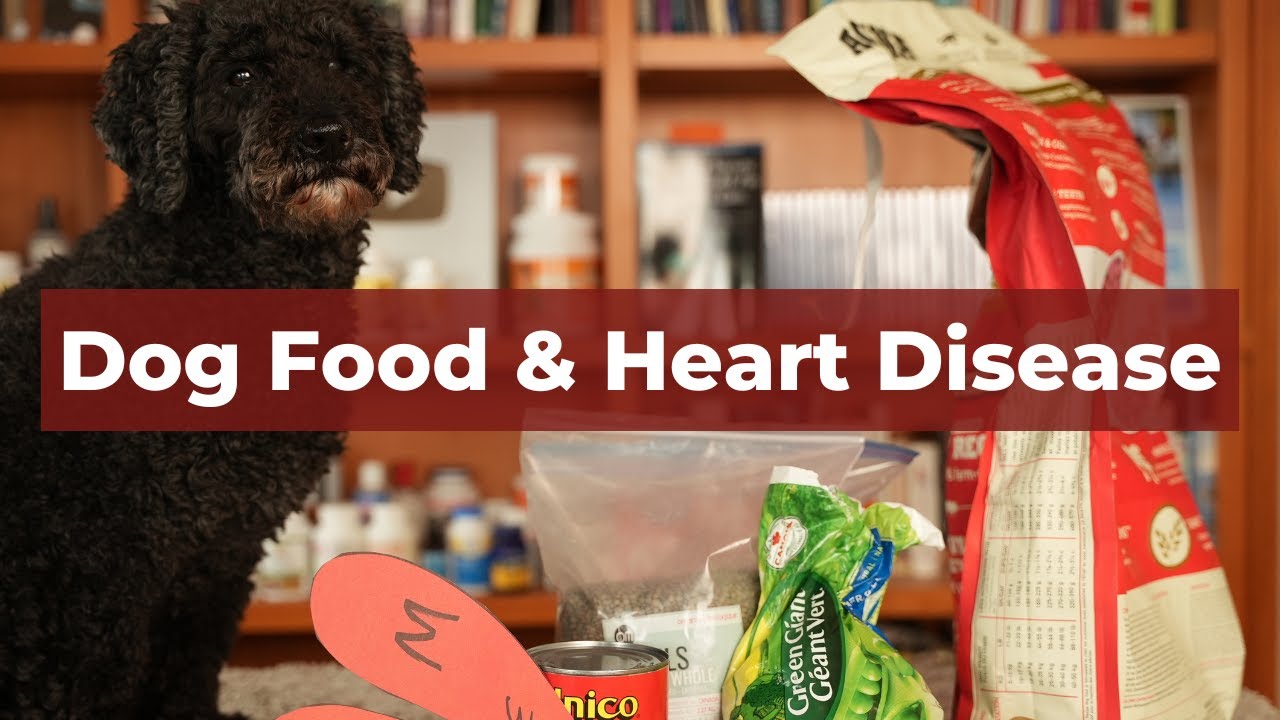 What grain free dog food causes heart disease?