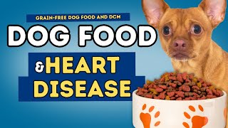 Grain-Free Dog Food STILL Causing Heart Disease? New FDA Upd