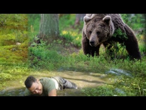 🐻 ШОК/ ВСТРЕЧА С МЕДВЕДЕМ НА БОЛОТЕ/