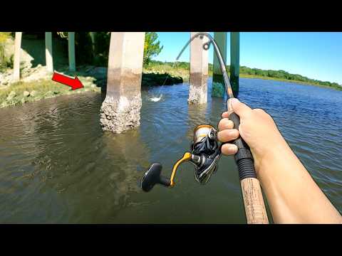 Fishing UNDER a Saltwater Bridge.. (Catch and Cook)