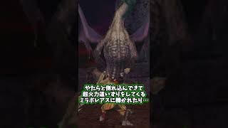 「骨磨きハンター2ndG」という企画について