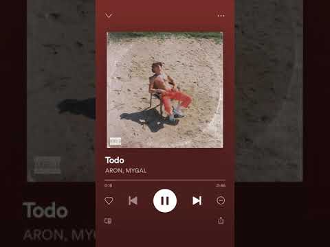 TODO-Aron Piper/Mygal