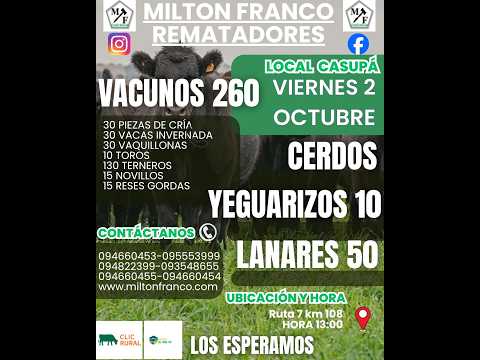 02/10/2026 Local Casupá - Florida - Feria mensual - Milton Franco | Clic Rural