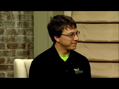 Fighting Mold Problems with Green Home Solutions