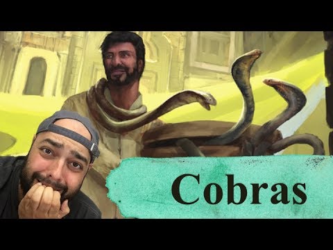 Cobras Review - with Zee Garcia