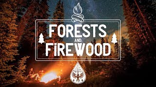 Forests & Firewood 🔥 - An Indie/Folk/Pop Campfire Playlist 🏕️