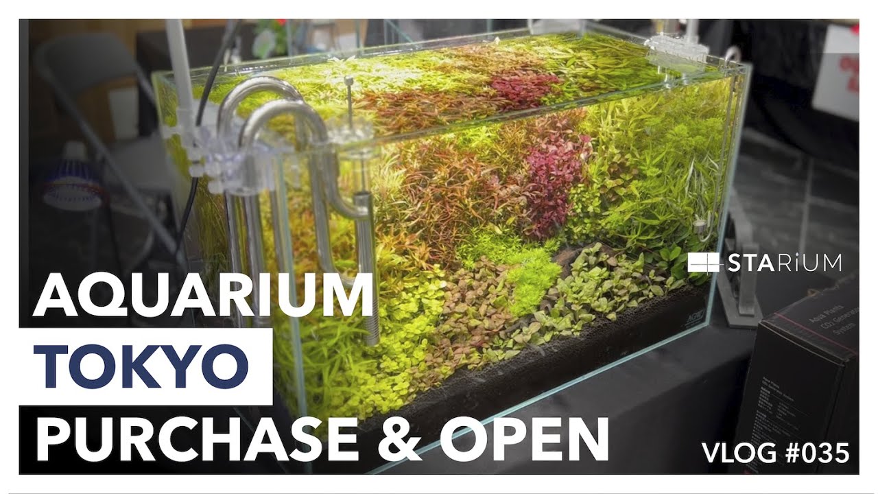 【アクアリウム】行くなら2日目が正解？アクアリウム東京で見つけた掘り出しモノを購入して開封する休日/AQUARIUM TOKYO 2022/#Vlog#035