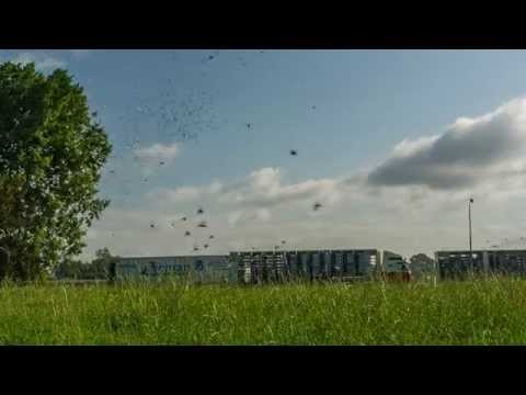 Video Mooie lossing van Regio Noord/Afdeling 8 in Ravenstein (NL)