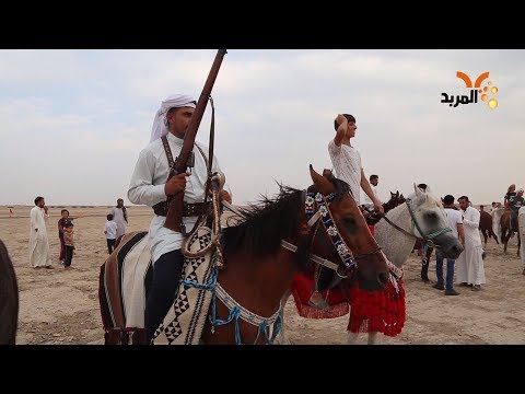 شاهد بالفيديو.. بمشاركة ٣٠ فارسا.. مهرجان للخيول العربية في المثنى #المربد