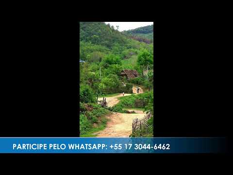 Caminho da Roça - Apresentação: Paulinho | 06/04/2026 - Parte 1
