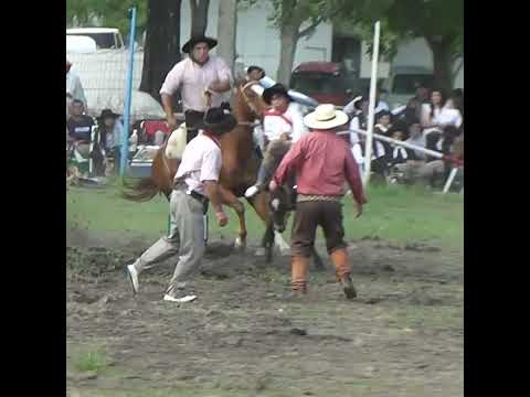 Jinetes del futuro en la 4º Fiesta de la Tradición en Crespo Entre Rios