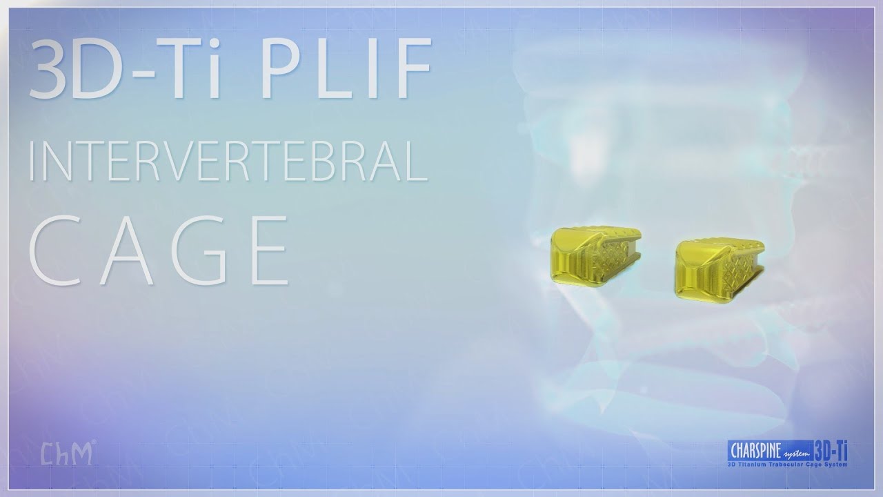 PLIF INTERVERTEBRAL CAGES