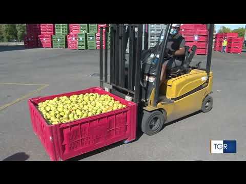 Rincari energetici, filiera agro-industriale in difficoltà