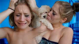 LOST DOG PRANK ON MY GIRLFRIEND (PUPPY)