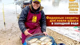 Фидерные секреты для ловли карася в холодной воде
