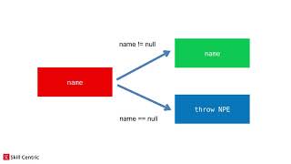 6 1  What Are Not Null Assertions