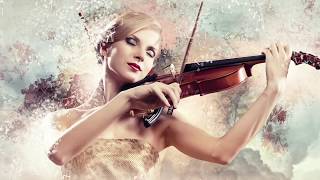 Stella Violinista video preview