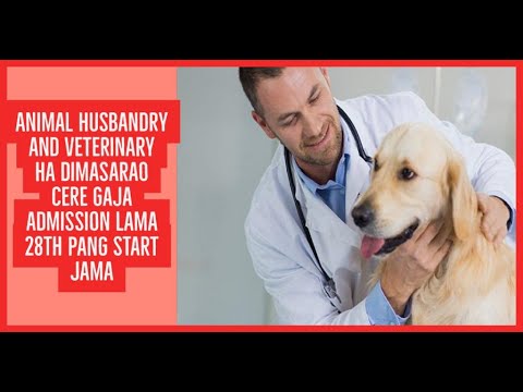 Dr. Sara May, Allergy and Immunology