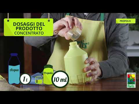LFK spalla lividi Dopo aver usato la toilette sul piccolo mal di schiena