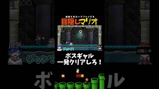 見ないでボスギャル倒せ！！！！【目隠しマリオ】