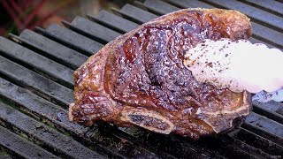 Kansas City Strip Steak! On The Sunterra Santa Maria Grill | Ballistic BBQ