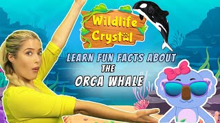 Orca Whale Facts gameplay video by Vlarrabee, 11:19 duration