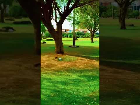 #منتزه_بريده_منطقة_القصيم_السعودية #بريده_حي_المنتزه طريق الملك عبد العزيز