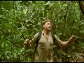 Crocodile Hunter Faces In The Forest Part 2