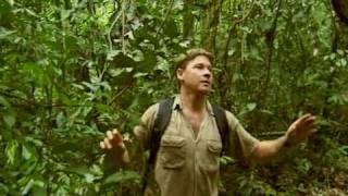Crocodile Hunter - Faces In The Forest (Part 2)