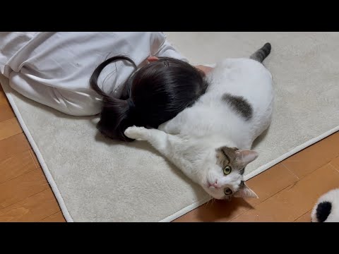 youtube-動物記事1970/01/01 09:00:00