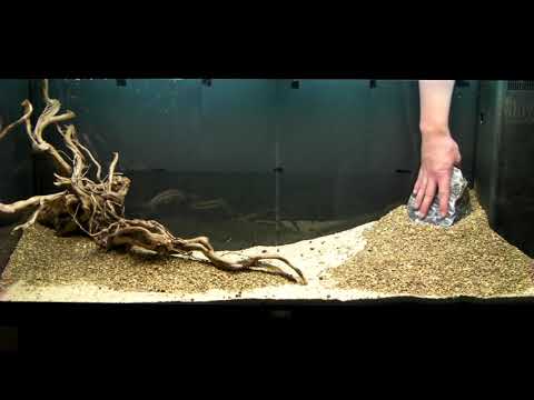 Aquarium Setup - Aquascape - Step by Step and Final Product - Live Planted Fish Tank