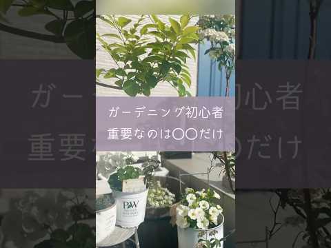 鳥を庭に引き寄せる植物は何ですか?一番人気の品種に注目！  庭園
