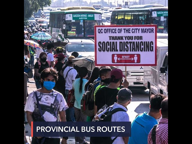 12 provincial bus routes to open September 30