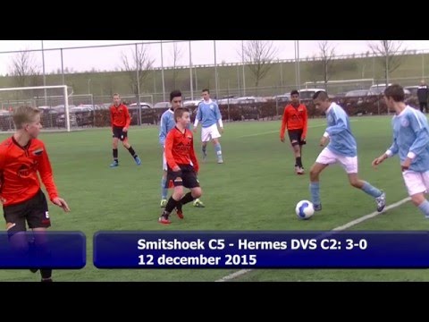 Samenvatting Smitshoek C5  -  Hermes DVS C2