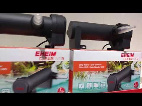 Watch Video on YouTube